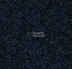 Грязезащитные покрытия Forbo Coral Brush 5727 Stratos Blue фото 1 | FLOORDEALER